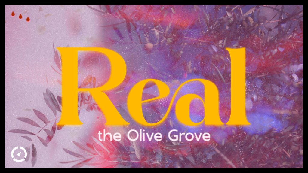 OLIVE GROVE TITLE SLIDE