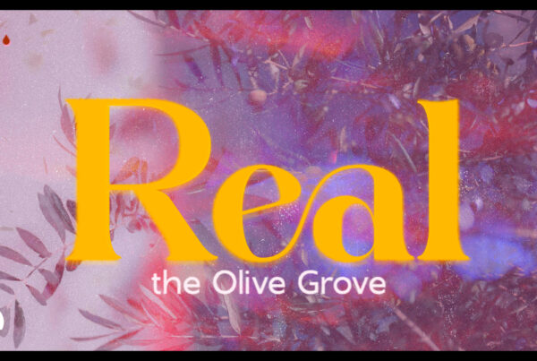 OLIVE GROVE TITLE SLIDE