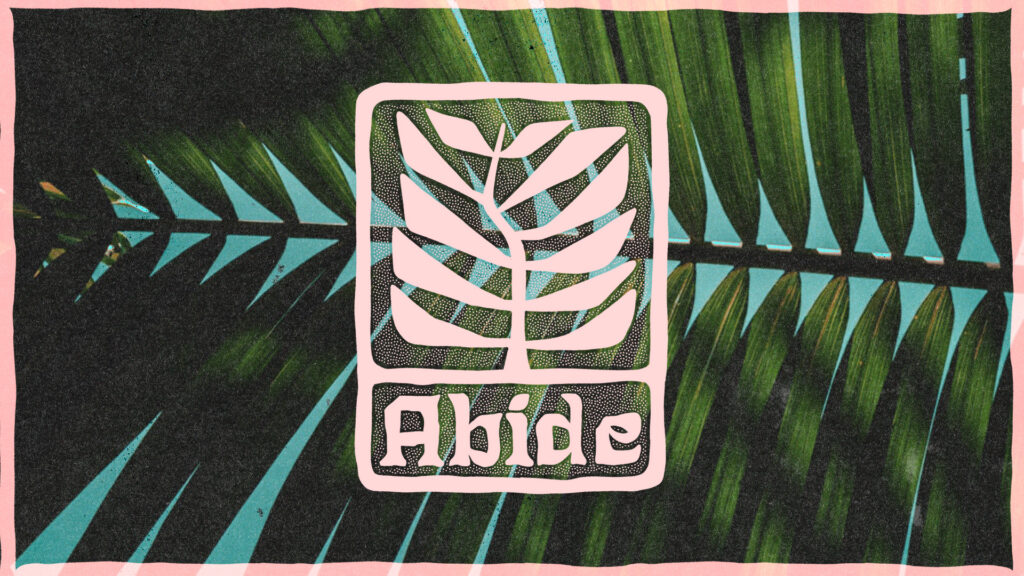 ABIDE x
