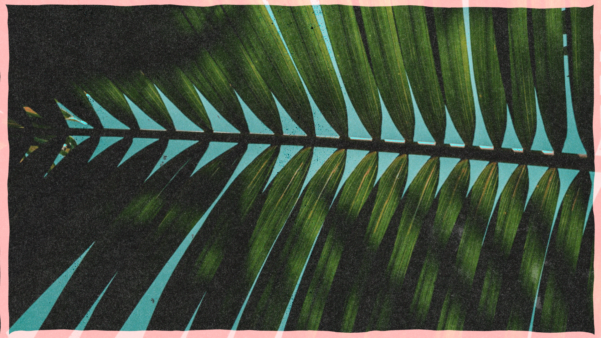 Abide | Fasting on Monday